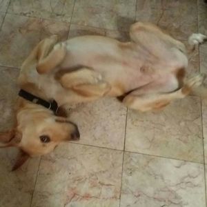 Meet your Posher, Leon